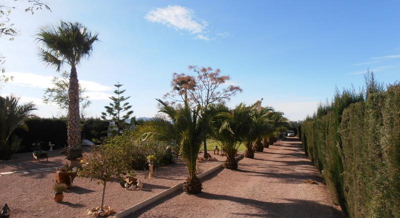Beautiful Finca near Albatera