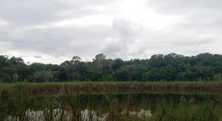 For sale land Riviera Maya.