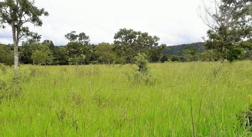 A must-see, sale of a farm in Pirenópolis