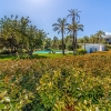 Apartment. Exclusive and quiet. In a few minutes in Portals and Palma.