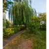 VIRTUAL TOUR !! flavor property in summer, under armor Tampa