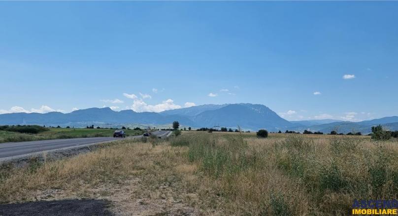 14,800 sqm, with PUZ for Holiday Homes, Rasnov Panicel