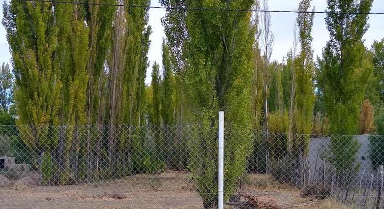 I sell land in Barda del Medio