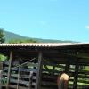 Unmissable, new exclusivity in Pirenópolis