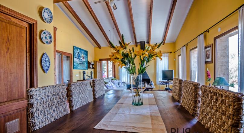 Bright villa with pool and private olive groves.