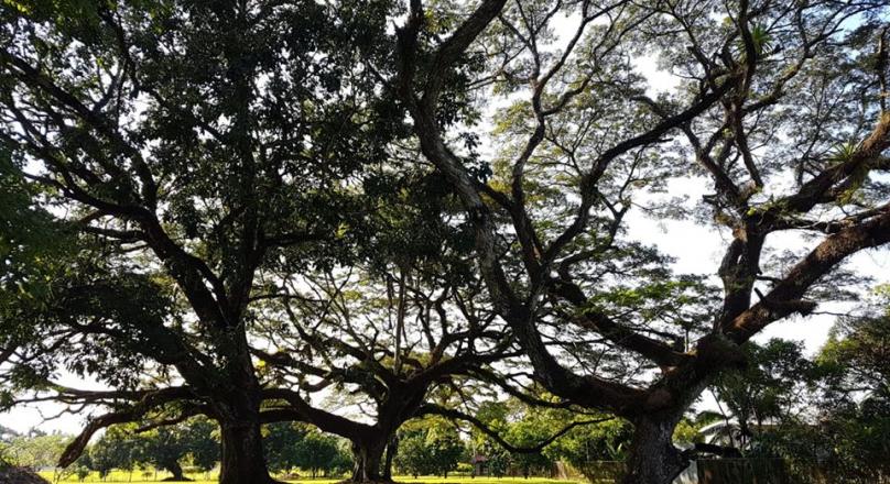 PROPERTY FOR SALE WITH LANDING LAND