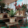 Departamento en Venta en Playa del Carmen Centro