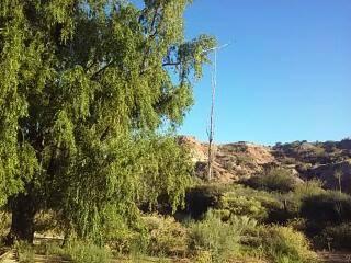 Loteo Don Raul en Neuquen