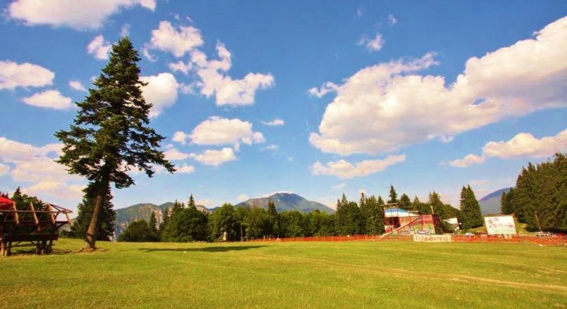 Investment opportunity 3 hectares of land near Trei Brazi