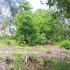 SAND BEACH PLOT FOR SALE