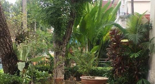 FOR RENT / NICE 2 STORY HOUSE !