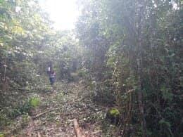 For sale land Riviera Maya.