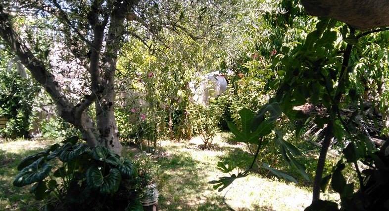Vendo Casa -Distrit. El Tropezon San Rafael -  Mendoza