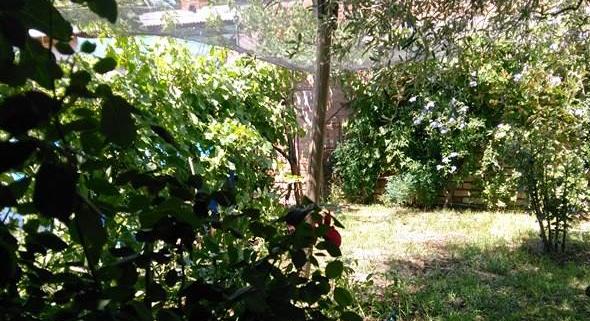 Vendo Casa -Distrit. El Tropezon San Rafael -  Mendoza