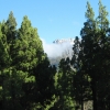 BARILOCHE - RÍO NEGRO - SPECTACULAR FRACTION OF 15 HAS. - ZONA VILLA LAGO MASCARDI - IDEAL TOURISTIC DEVELOPMENT / REAL ESTATE