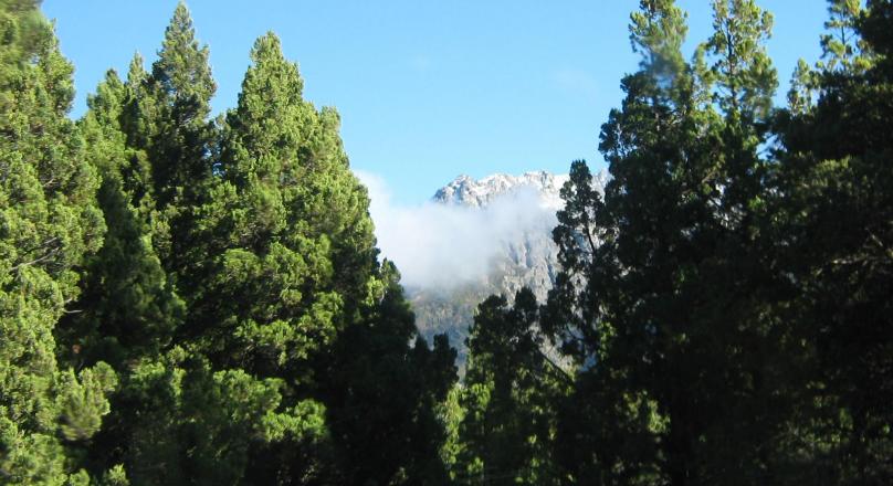 BARILOCHE - RÍO NEGRO - SPECTACULAR FRACTION OF 15 HAS. - ZONA VILLA LAGO MASCARDI - IDEAL TOURISTIC DEVELOPMENT / REAL ESTATE