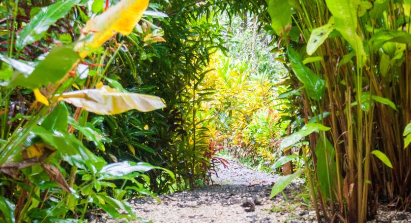 OPPORTUNITY TO INVEST! BEAUTIFUL PROPERTY FOR SALE!