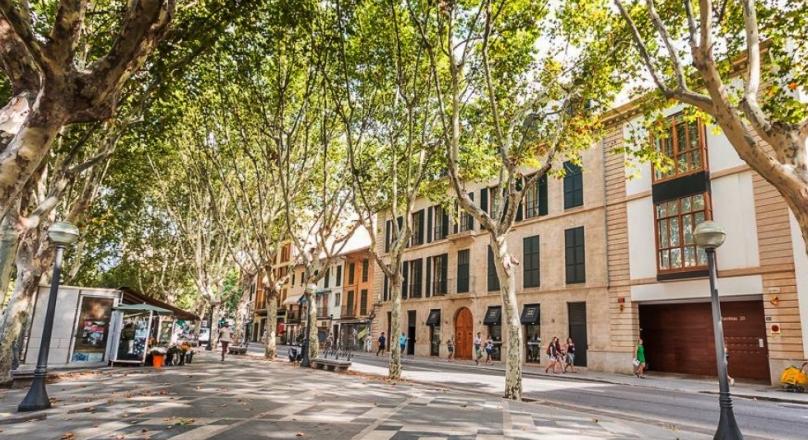 Right on the Ramblas. Loft - Apartment. Absolutely new.