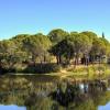 Vidauban, rare property of 13 ha with a pond