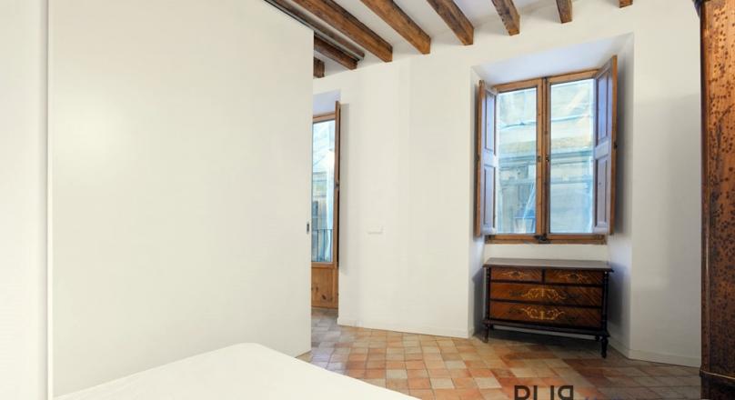 Palma. Old town. Apartment with a large roof terrace. And a look. PUR.
