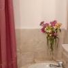 For sale 1 bedroom 1 bathroom apartment with beautiful large terrace