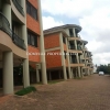 stunning fully furnished apartment for rent in Naguru