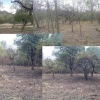 LOTEO EN SANTA ROSA DE CALAMUCHITA