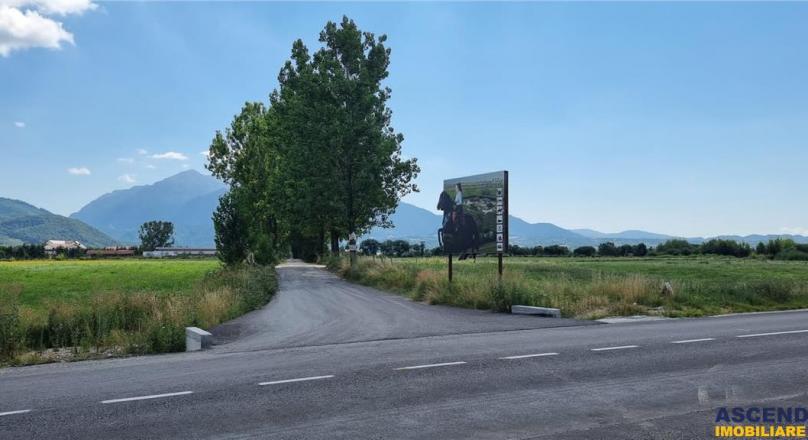 14,800 sqm, with PUZ for Holiday Homes, Rasnov Panicel