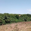 Lot for sale 15,964 area sqmtr