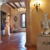 You see the pictures. Possible uses without end. Events. Weddings. Horses.