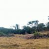 Sale of farm in Pirenópolis