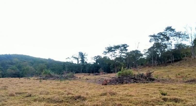 Sale of farm in Pirenópolis