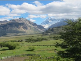 Spectacular cordilleran stay