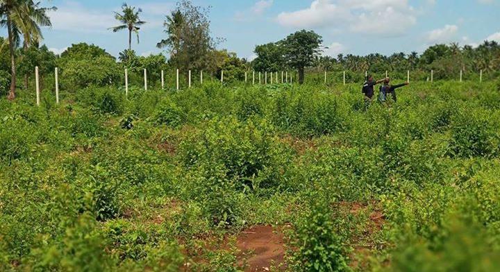 Land QUICK SALE