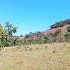 Sale of farm with exuberant beauty