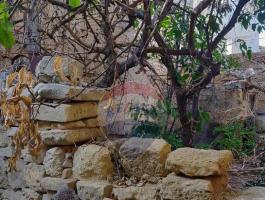 ZEJTUN HOUSE OF CHARACTER WITH 70 SQM GARDEN!