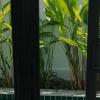 Pool villa for rent Soi Nong Hin /pattaya