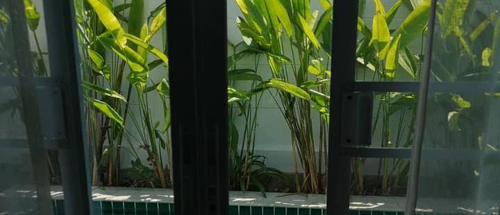 Pool villa for rent Soi Nong Hin /pattaya