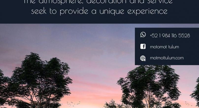 Luxury and nature combine at Motmot to give you the best experience of your life.