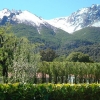 BARILOCHE - RÍO NEGRO - SPECTACULAR FRACTION OF 15 HAS. - ZONA VILLA LAGO MASCARDI - IDEAL TOURISTIC DEVELOPMENT / REAL ESTATE