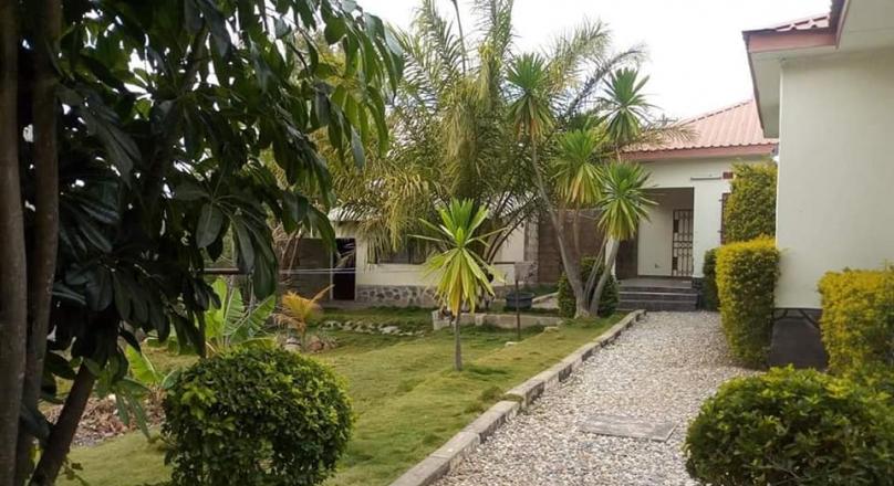 Three bedrooms flats for rent