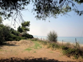 INVESTMENT PROPERTY IN KASSANDRA HALKIDIKIS GREECE