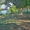 Located Chaungtha Shwe Thaung Yan Beach.