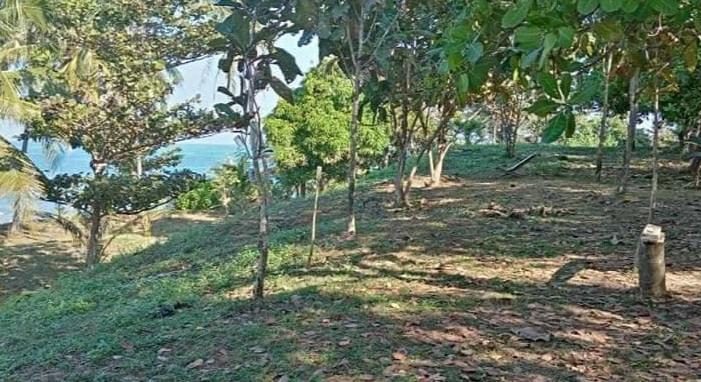 Located Chaungtha Shwe Thaung Yan Beach.