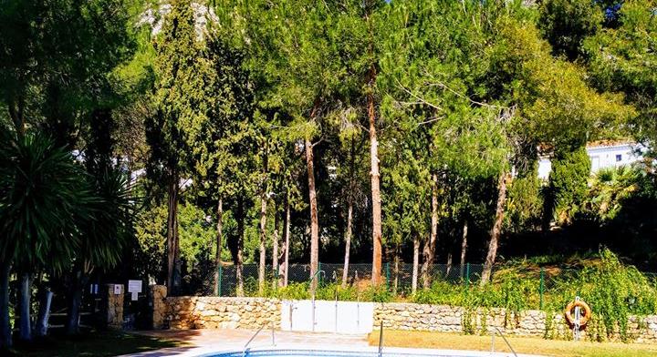 WOW!! Now voted the best holiday location in the area – Mijas La Nueva!!