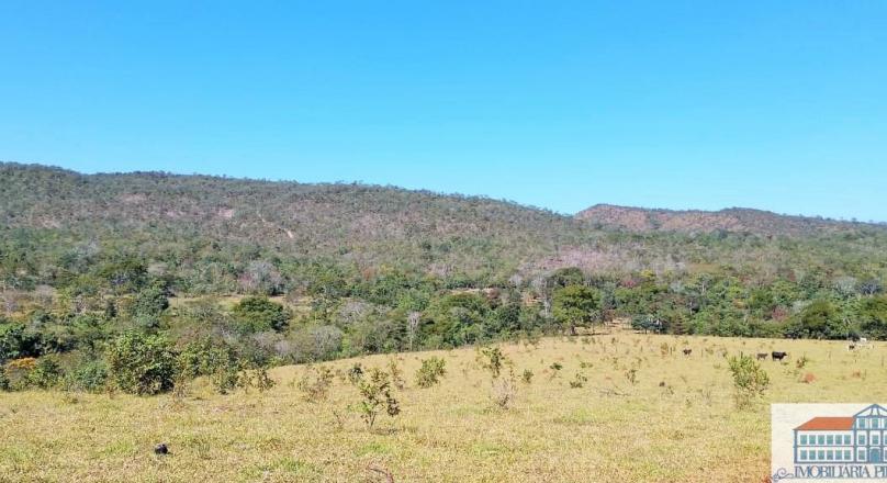 Sale of farm with exuberant beauty