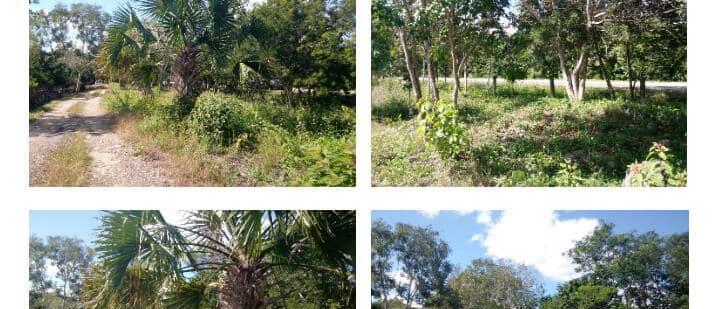 For sale land Riviera Maya.