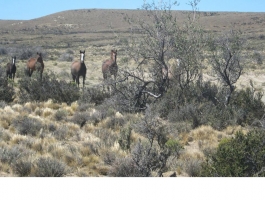 Beautiful 20,000 hectares with extensive sea coast