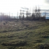 SALE OF LAND IN LOS ANTIGUOS
