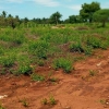 Land QUICK SALE